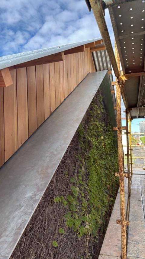 Vertical cedar cladding installed above a planted wall, viewed from scaffolding