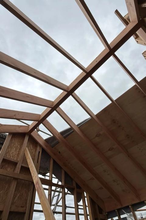 Looking up through new timber rafters and ply sheathing
